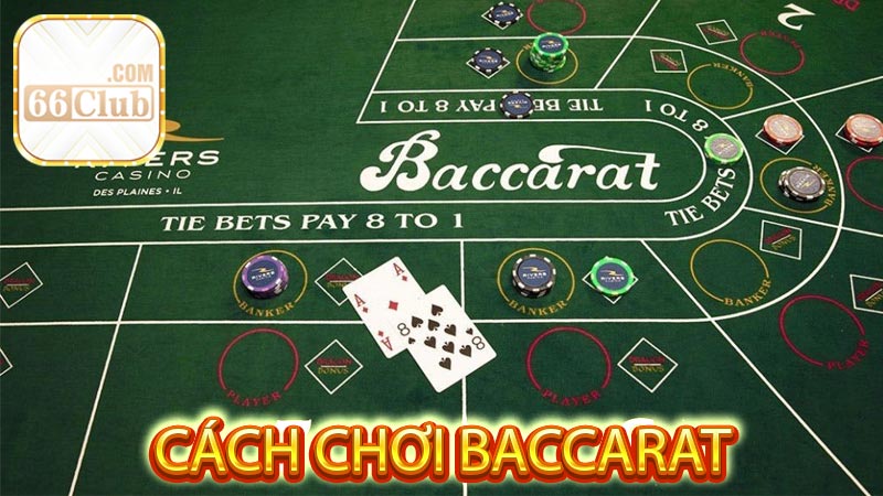 Những thuật ngữ trong Cách Chơi Baccarat mà người chơi nên nắm vững