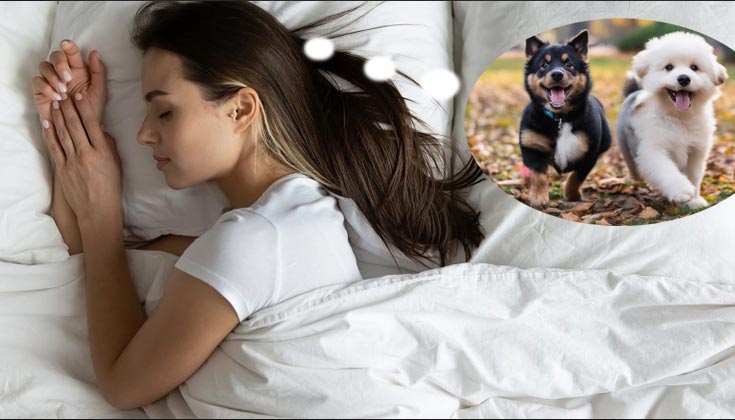 nằm mơ thấy chó trắng