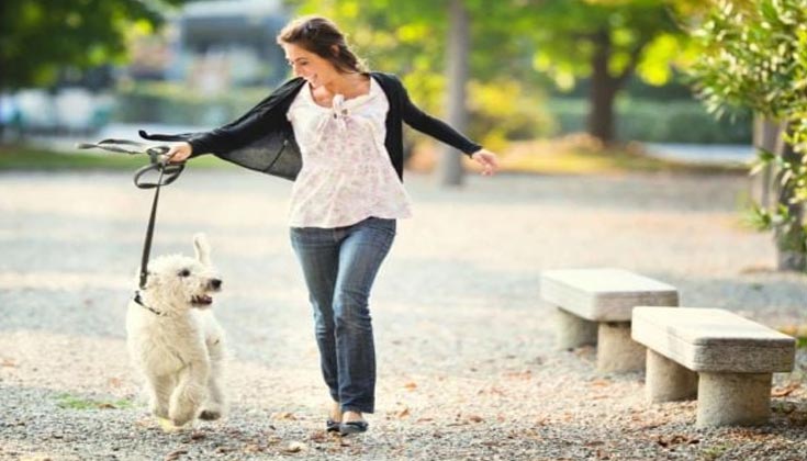 Nằm mơ thấy chó trắng đi theo mình